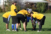OTFL Gallery Image